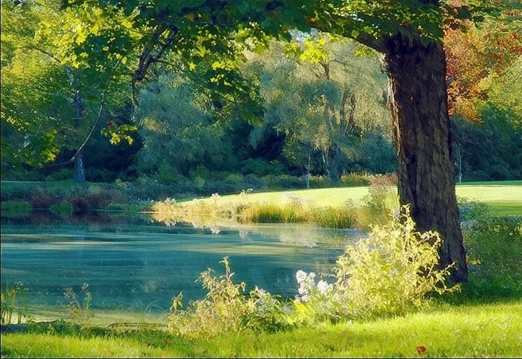 Albert Bierstadt Quiet Pond